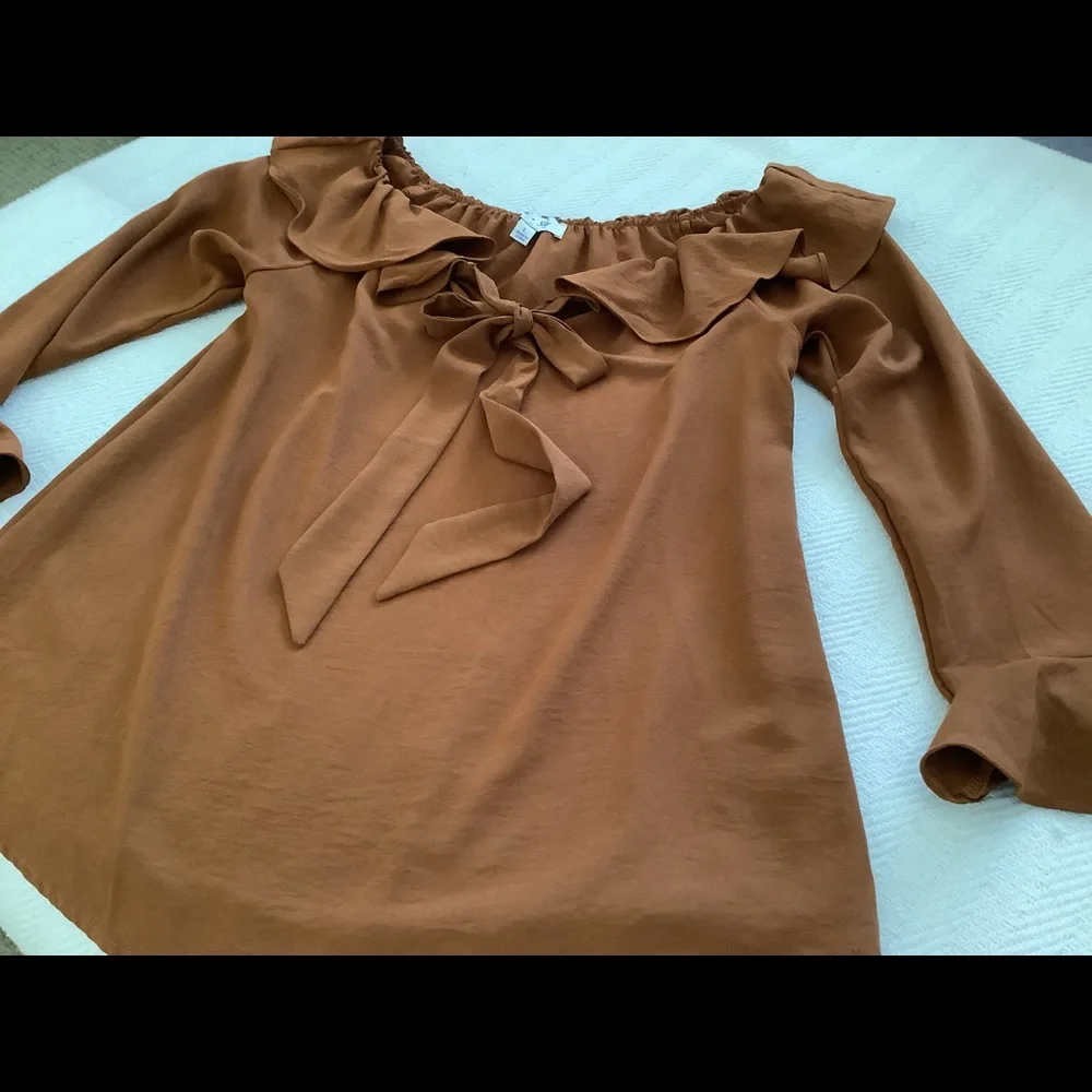 She & Sky rust colored blouse size L - Picture 3 of 10